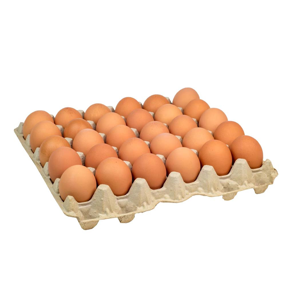 Egg (red) 30pcs